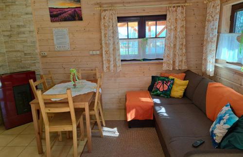 Domki Borowiackie nad brzegiem jeziora - Foto 19