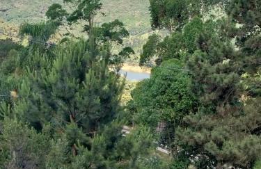 Chale da Montanha Capivari - Foto 10