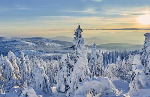 Edelstein Ferienwohnung Philippsreut - Foto 54