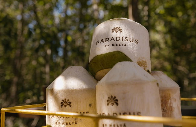 Paradisus La Perla - Adults Only - Riviera Maya - All Inclusive - Foto 28