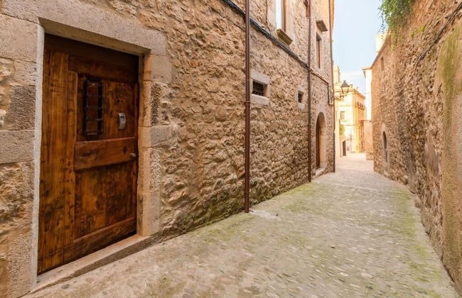 AS Palau dels Alemanys - Foto 73