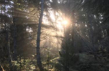 Bayview Cottage, Dunnetbay accommodation - Foto 13