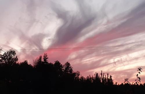 Agroturystyka Leśna Malinka - Foto 11