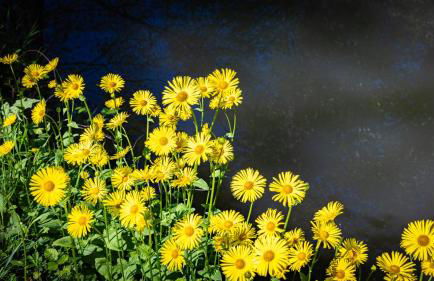 Le Moulin de L'O - L'Orle Rose - Foto 38