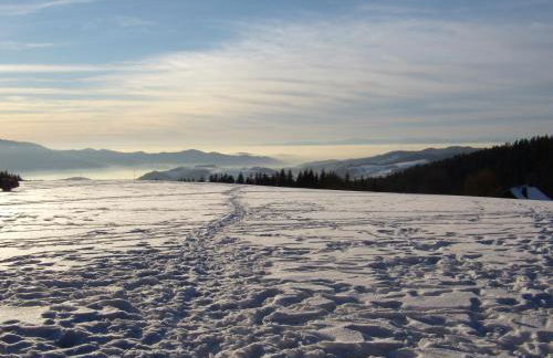 Kapfenmathishof Urlaubsbauernhof - Foto 8