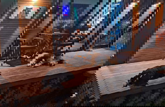 Tumba Sisli Vadi - Foto 10