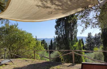 Podere Borgaruccio - Foto 7