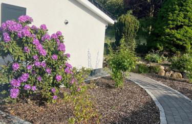 Ferienwohnung Mammutbaum - Foto 27