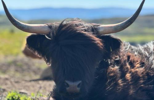 Bonnie Brae Croft Bothies - Foto 44
