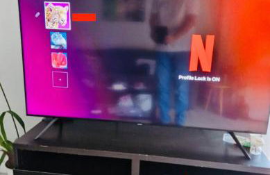 La Roseraie Toulousaine, parking à réserver, proche métro - Foto 19