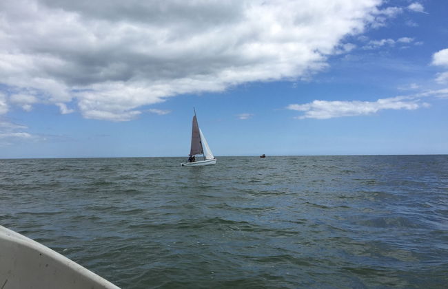 St Awaries - Foto 34