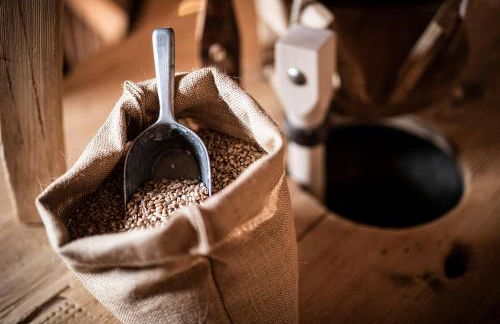 Burgfrieder Mühle - Photo 32