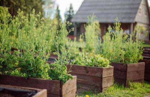 Large, atmospheric cottage in the countryside - Foto 26