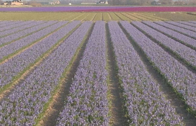 Buitenplaats 79 - Foto 20