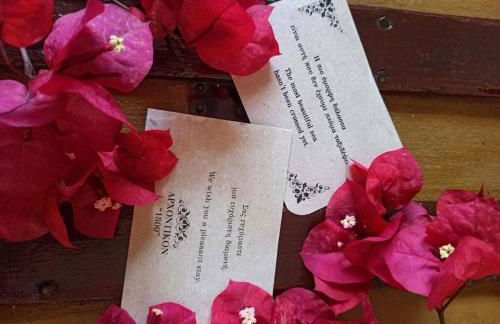 Archontikon 1800 - Photo 74