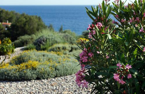 Villa Vito - Photo 26