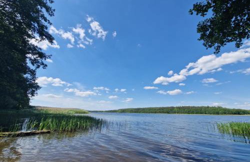 Sosnowa Odnowa - domek na Mazurach z sauną i balią - Foto 4