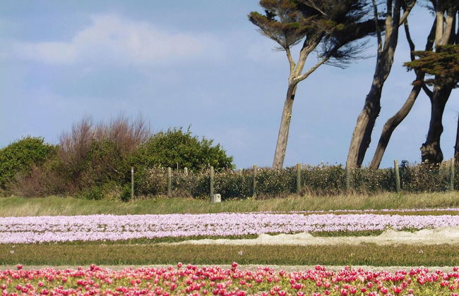 Holiday Home, St. Jean-trolimon - Foto 11