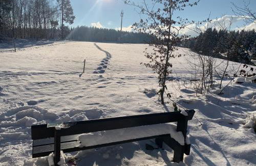 Schöne Ferienwohnung in Schauenstein-Hof im Frankenwald mit Loggia 100qm - Foto 41