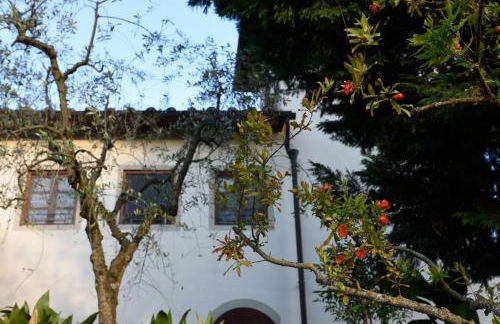 Agriturismo La Casuccia - Foto 12