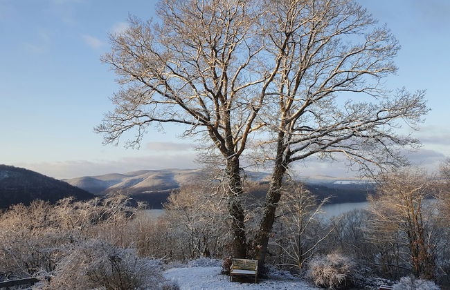 Friedrichs Ferienwohnungen - Foto 1