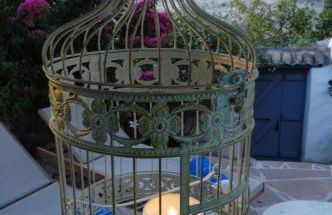 Anemone Residence - Photo 6