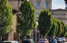 Appartamento La Cupola - Foto 2