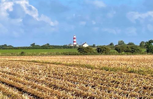 The Gig House - Foto 25