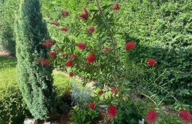 Villa Eva Karigador - Photo 55