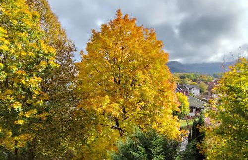 Haus am Wald Radlerrast - Foto 25