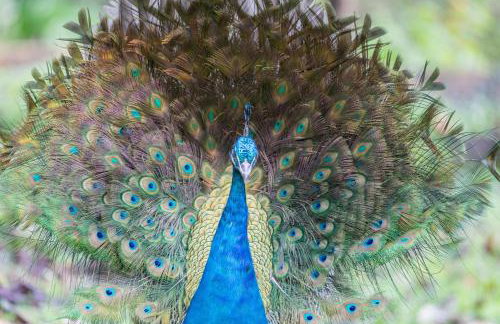 3 Bed in Newport oc-p33956 - Foto 37