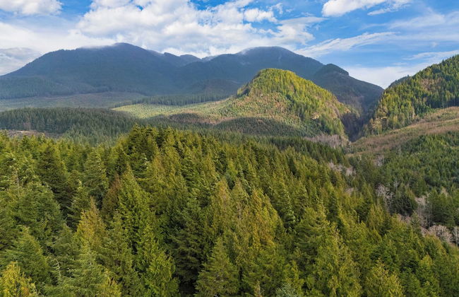 Rustic Arch Cape Getaway w/ Vibrant Interior Walk to the Beach Cape Wonder - Foto 40