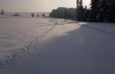 Antonówka - Foto 66