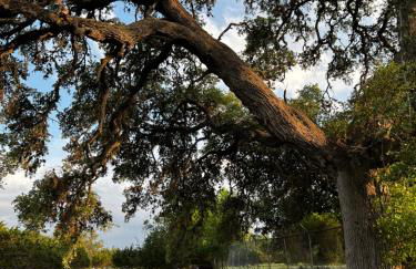 The Shophouse at Transplant Acres - Foto 39