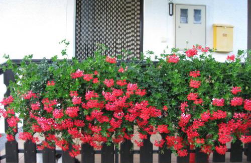 Apartments Dale - Foto 6