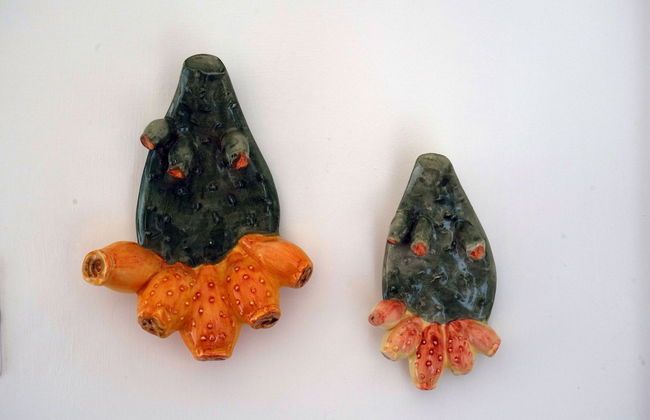 Il Colibrì - Arcuève - Photo 33