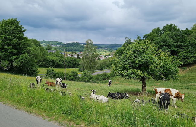 Gasthaus Paula App. C - Photo 14