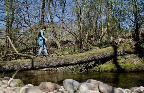 Azuria Black Forest Loft - Photo 19