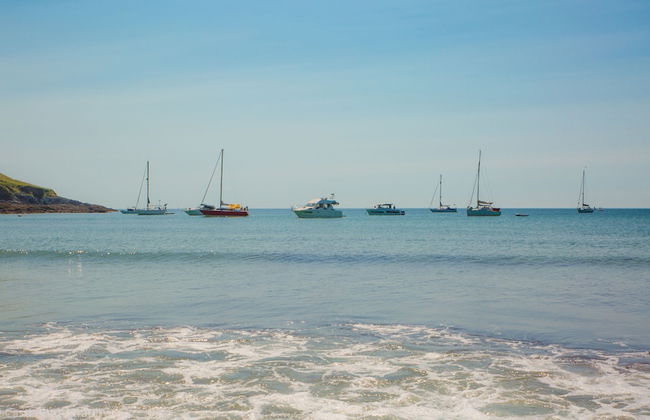 Blue Monkey - Foto 39