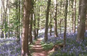 Number 6 Narrow Water Castle - Photo 20