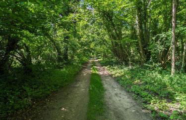 Chalet à 10 minutes de Reims - Foto 14