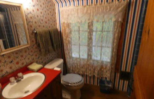 Classic Lake Home on Torch Lake - Foto 38