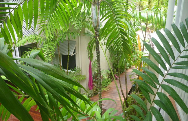 Palm Cove Tropic Apartments - Foto 22