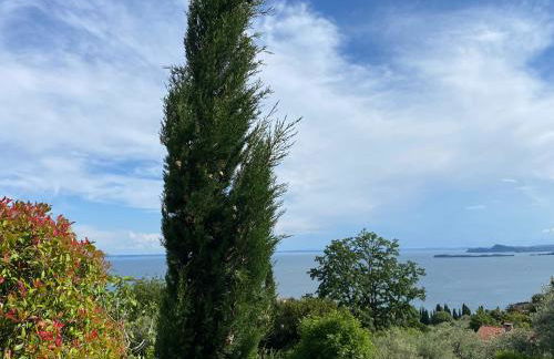 Villa Diamante del Garda & Spa - Foto 16