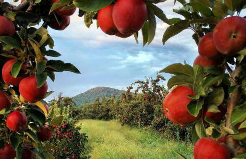 Modern Chalet w Hot Tub, Large Deck, Grill & WiFi - Foto 30