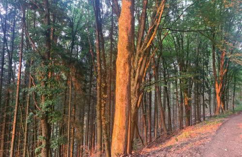 Ferienwohnung "Auszeit" - Photo 44