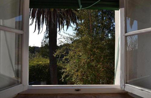 Las Navezuelas - Photo 35