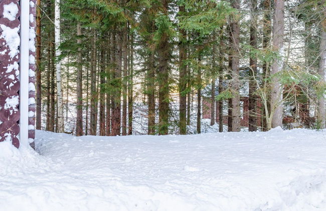 Pielislinna/savilahti - Foto 19