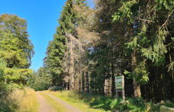 Haus Kellerwald - Ferienwohnung Kellerwald-Edersee - Foto 19