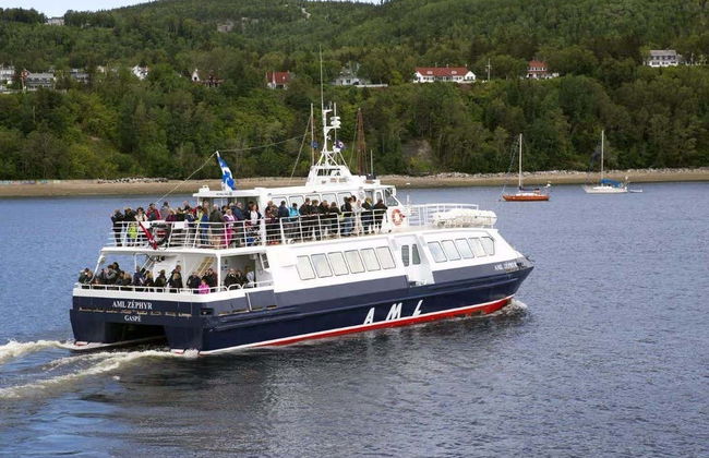 Giro in barca con avvistamento di balene - Foto 3